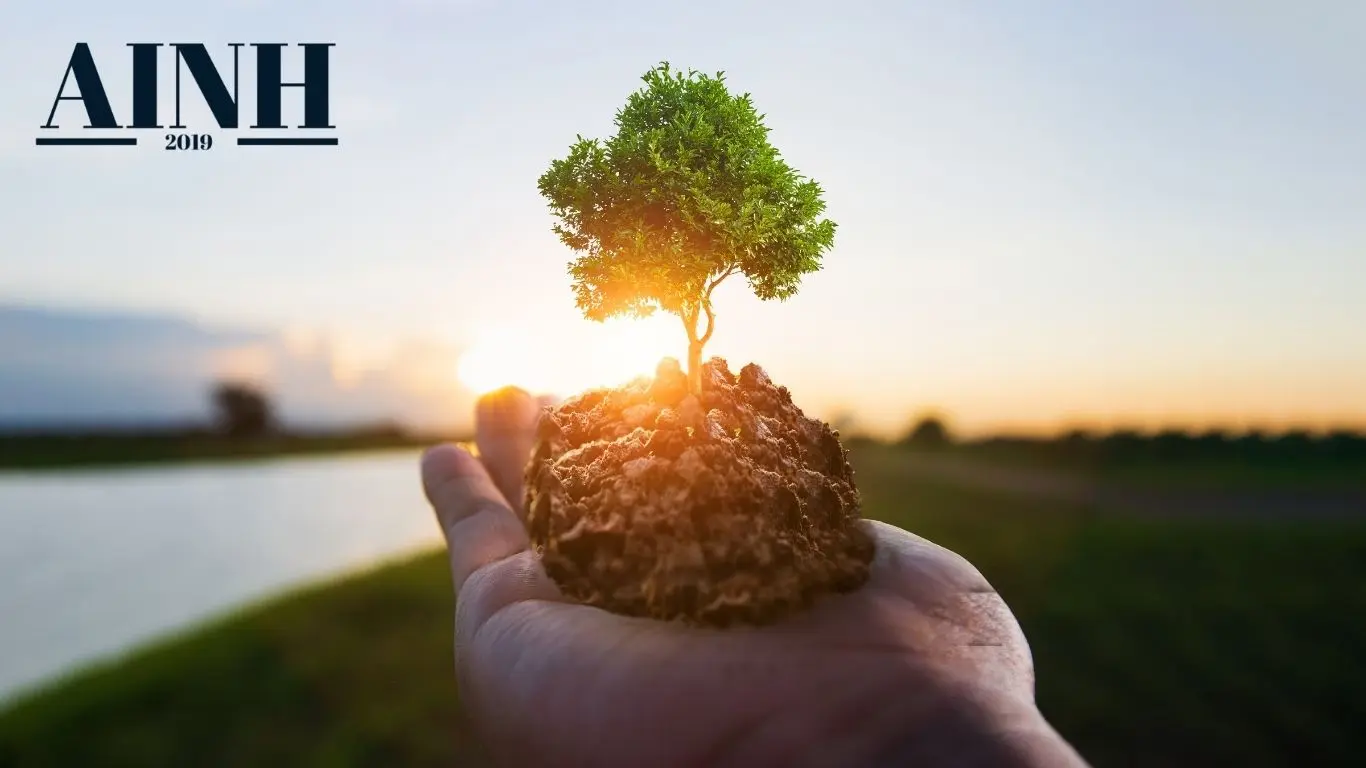 image d un arbre qui pousse dans le creux d une main avec un couché de soleil en fond et le logo AINH